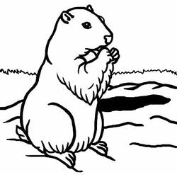 Dessin à colorier: Marmotte (Animaux) #10955 - Coloriages à imprimer