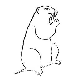 Dessin à colorier: Marmotte (Animaux) #10960 - Coloriages à imprimer