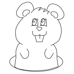 Dessin à colorier: Marmotte (Animaux) #10981 - Coloriages à imprimer