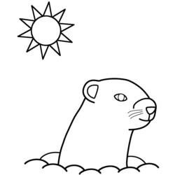 Dessin à colorier: Marmotte (Animaux) #10997 - Coloriages à imprimer