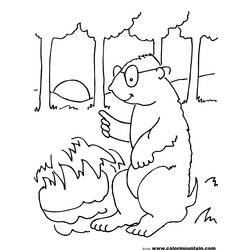 Dessin à colorier: Marmotte (Animaux) #11057 - Coloriages à Imprimer Gratuits