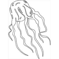 Coloriage Méduse (Animaux) #208786 à imprimer et colorier