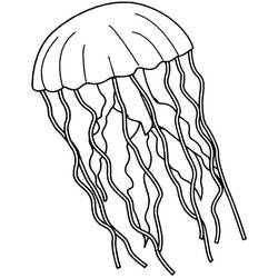 Coloriage Méduse (Animaux) #208805 à imprimer et colorier