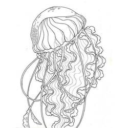 Coloriage Méduse (Animaux) #208821 à imprimer et colorier