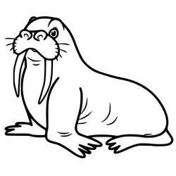 Coloriage Morse (Animaux) #208690 à imprimer et colorier