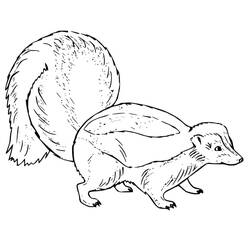 Dessin à colorier: Moufette (Animaux) #205292 - Coloriages à Imprimer Gratuits