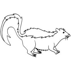 Dessin à colorier: Moufette (Animaux) #205310 - Coloriages à Imprimer Gratuits