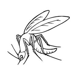 Dessin à colorier: Moustique (Animaux) #207164 - Coloriages à Imprimer Gratuits