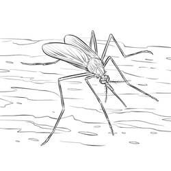 Dessin à colorier: Moustique (Animaux) #207177 - Coloriages à Imprimer Gratuits