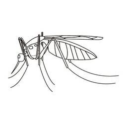 Dessin à colorier: Moustique (Animaux) #207178 - Coloriages à Imprimer Gratuits