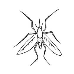 Dessin à colorier: Moustique (Animaux) #207186 - Coloriages à Imprimer Gratuits