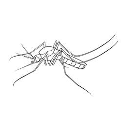 Dessin à colorier: Moustique (Animaux) #207187 - Coloriages à Imprimer Gratuits