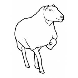 Dessin à colorier: Mouton (Animaux) #11460 - Coloriages à Imprimer Gratuits