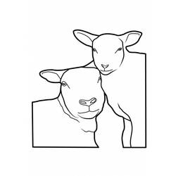 Dessin à colorier: Mouton (Animaux) #11514 - Coloriages à Imprimer Gratuits