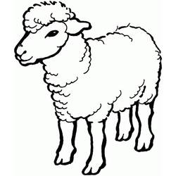 Joli coloriage Mouton (Animaux) #198625, prêt à imprimer