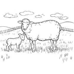 Illustration au trait Mouton (Animaux) #198634 prête à colorier
