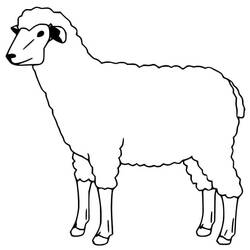 Dessin à colorier Mouton (Animaux) #198643, gratuit à imprimer