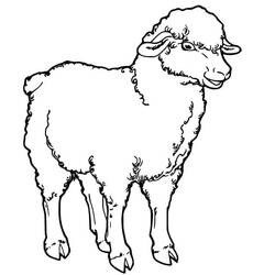 Coloriage Mouton (Animaux) #198679 à imprimer et colorier