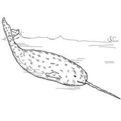 Coloriage Narval (Animaux) #186639 à imprimer et colorier