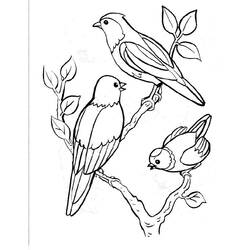 Dessin à colorier: Oiseaux (Animaux) #11841 - Coloriages à imprimer