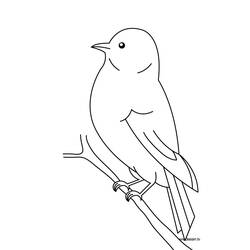 Dessin à colorier: Oiseaux (Animaux) #11844 - Coloriages à imprimer