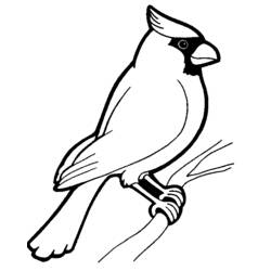Dessin à colorier: Oiseaux (Animaux) #11846 - Coloriages à imprimer