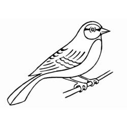 Dessin à colorier: Oiseaux (Animaux) #11861 - Coloriages à imprimer