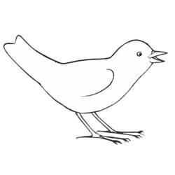Dessin à colorier: Oiseaux (Animaux) #11884 - Coloriages à imprimer