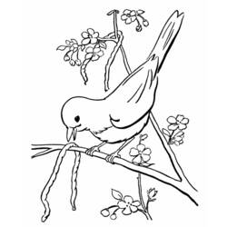 Dessin à colorier: Oiseaux (Animaux) #11885 - Coloriages à Imprimer Gratuits