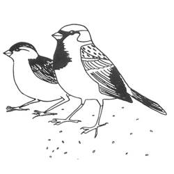 Dessin à colorier: Oiseaux (Animaux) #11903 - Coloriages à Imprimer Gratuits