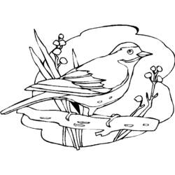 Dessin à colorier: Oiseaux (Animaux) #11921 - Coloriages à Imprimer Gratuits