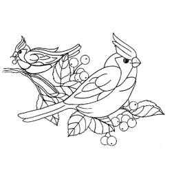 Dessin à colorier: Oiseaux (Animaux) #11926 - Coloriages à Imprimer Gratuits