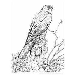 Dessin à colorier: Oiseaux (Animaux) #11935 - Coloriages à Imprimer Gratuits