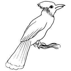 Dessin à colorier: Oiseaux (Animaux) #11947 - Coloriages à Imprimer Gratuits