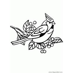 Dessin à colorier: Oiseaux (Animaux) #11969 - Coloriages à Imprimer Gratuits