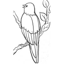 Dessin à colorier: Oiseaux (Animaux) #11976 - Coloriages à imprimer