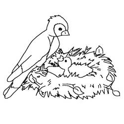 Dessin à colorier: Oiseaux (Animaux) #11980 - Coloriages à imprimer