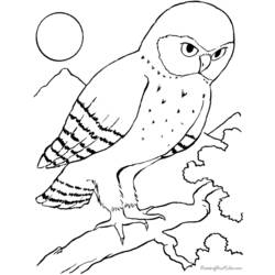 Dessin à colorier: Oiseaux (Animaux) #11990 - Coloriages à Imprimer Gratuits