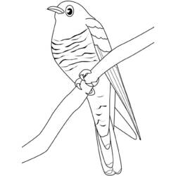 Dessin à colorier: Oiseaux (Animaux) #12041 - Coloriages à Imprimer Gratuits