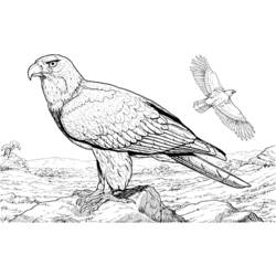 Dessin à colorier: Oiseaux (Animaux) #12051 - Coloriages à Imprimer Gratuits