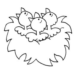 Dessin à colorier: Oiseaux (Animaux) #12052 - Coloriages à Imprimer Gratuits