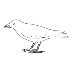 Dessin à colorier: Oiseaux (Animaux) #12072 - Coloriages à Imprimer Gratuits