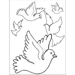 Dessin à colorier: Oiseaux (Animaux) #12106 - Coloriages à Imprimer Gratuits