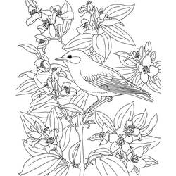 Dessin à colorier: Oiseaux (Animaux) #12108 - Coloriages à Imprimer Gratuits