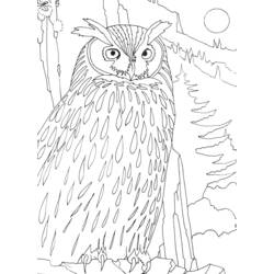 Dessin à colorier: Oiseaux (Animaux) #12110 - Coloriages à Imprimer Gratuits