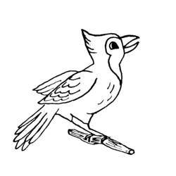 Dessin à colorier: Oiseaux (Animaux) #12112 - Coloriages à Imprimer Gratuits