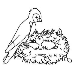 Dessin à colorier: Oiseaux (Animaux) #174995 - Coloriages à Imprimer Gratuits