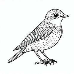 Dessin à colorier: Oiseaux (Animaux) #215831 - Coloriages à Imprimer Gratuits