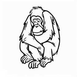 Dessin à colorier: Orang Outan (Animaux) #191576 - Coloriages à Imprimer Gratuits