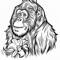 Dessin à colorier: Orang Outan (Animaux) #191577 - Coloriages à Imprimer Gratuits